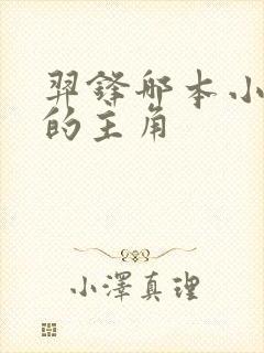 羿锋哪本小说里的主角