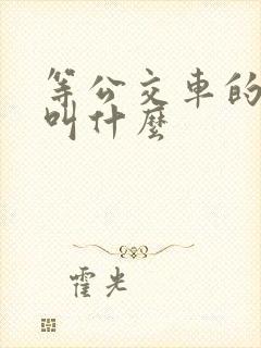 等公交车的地方叫什么 等公交车的地方叫什么
