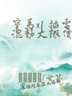 宝马x1 插电混动大概价格多少钱