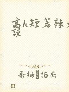 高h短篇辣文小说
