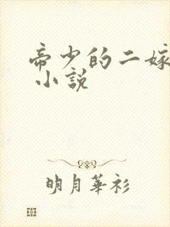 帝少的二嫁萌妻 小说