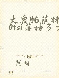 大众帕萨特330tsi落地多少钱