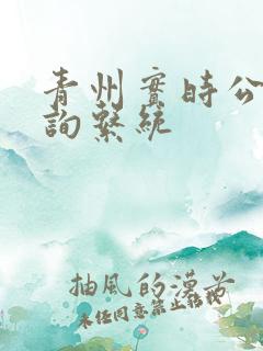 青州实时公交查询系统 青州实时公交查询系统
