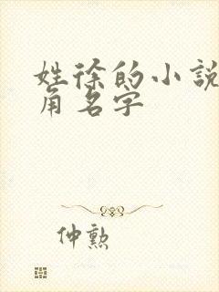 姓徐的小说女主角名字