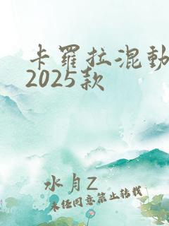 卡罗拉混动双擎2025款