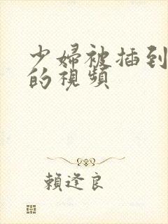 少妇被插到高潮的视频