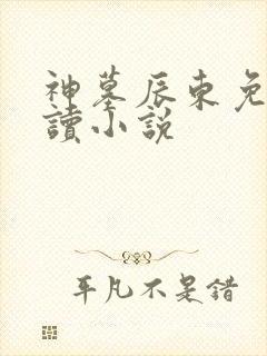 神墓辰东免费阅读小说