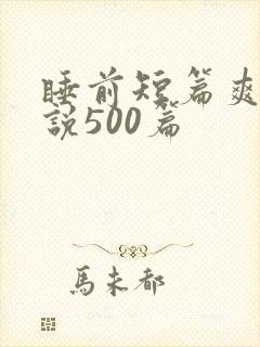 睡前短篇爽文小说500篇