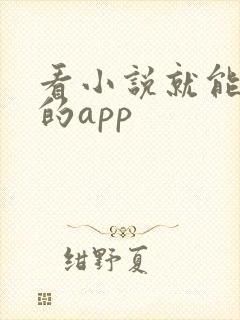 看小说就能赚钱的app 看小说就能赚钱的app