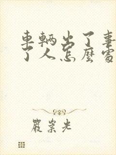 车辆出了事故撞了人怎么处理怎么办