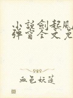 小说剑起风云无弹窗全文免费阅读