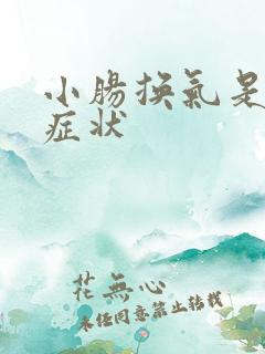 小肠换气是什么症状