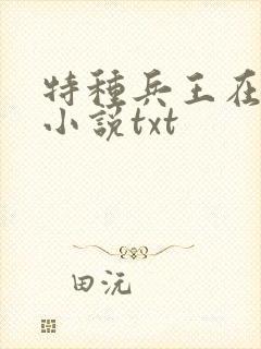 特种兵王在山村小说txt