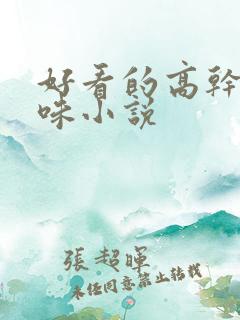 好看的高干文京味小说