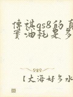 传祺gs8的真实油耗是多少 传祺gs8的真实油耗是多少