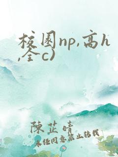 校园np,高h,全c)
