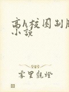 高h校园制服类小说