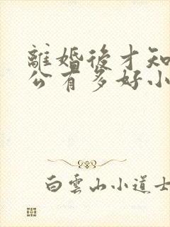 离婚后才知道老公有多好小说