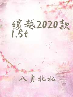 缤越2020款1.5t