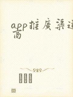 app推广渠道商