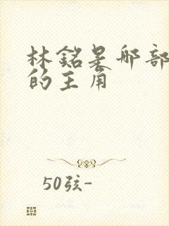 林铭是哪部小说的主角