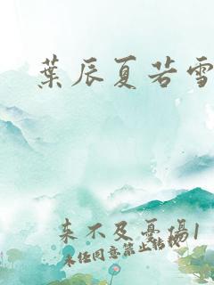 叶辰夏若雪孙怡