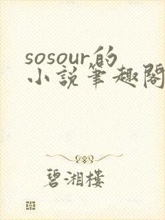 sosour的小说笔趣阁