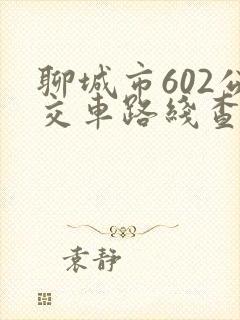 聊城市602公交车路线查询