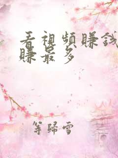 看视频赚钱哪个赚最多