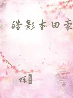 皓影本田豪华版 皓影本田豪华版