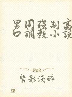 男同强制高潮重口调教小说