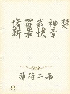 修罗武神楚枫最新最快章