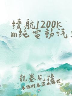 续航1200km纯电动汽车有哪些