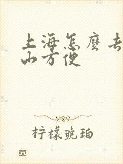 上海怎么去五台山方便 上海怎么去五台山方便