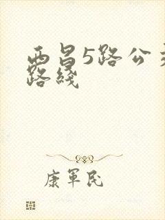 西昌5路公交车路线