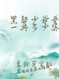 黑帮少爷爱上我一共多少集