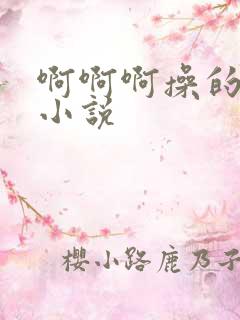 啊啊啊操的好爽小说