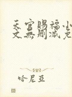天官赐福小说全文无删减免费阅读