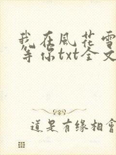 我在风花雪月里等你txt全文下载