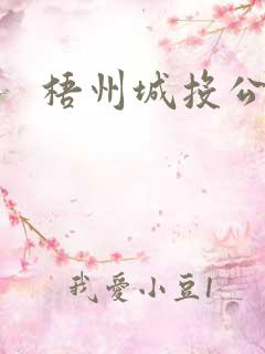 梧州城投公交