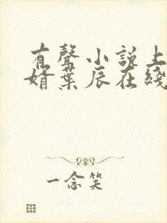 有声小说上门龙婿叶辰在线收听