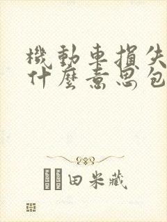 机动车损失险是什么意思包括哪些? 机动车损失险是什么意思包括哪些?