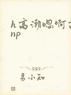 h高潮嗯啊高hnp