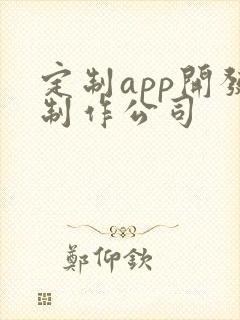 定制app开发制作公司