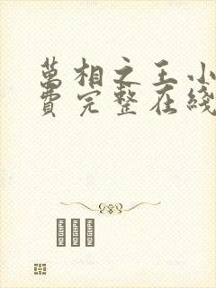 万相之王小说免费完整在线阅读