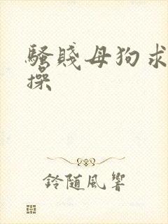 骚贱母狗求主人操