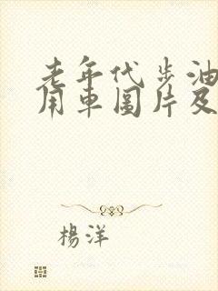 老年代步油电两用车图片及价格