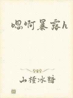 嗯啊暴露h