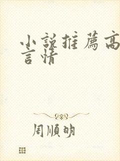 小说推荐高质量言情