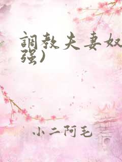 调教夫妻奴(小强)